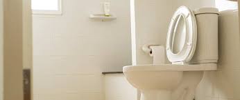 how to keep your toilet tank clean
