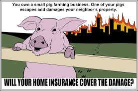 From tricky riddles to u.s. Insurance Trivia Question You Own A Small Pig Farming Business One Of Your Pigs Escapes And Damages Your Neighbor S Home Insurance Pig Farming Farm Business