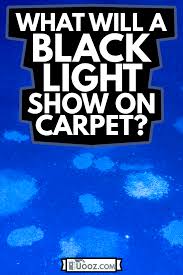 what will a black light show on carpet