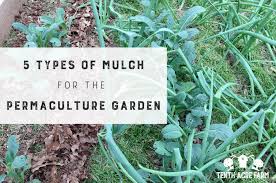 Mulch For The Permaculture Garden
