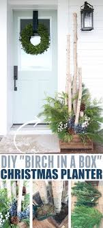 Diy Birch In A Box Planter