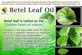 ayurvedic health benefits of betel leaf