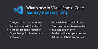 visual studio code january 2024