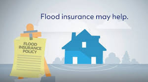 flood insurance at a glance what does