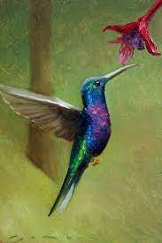 Hummingbird And Flower By James Zamora