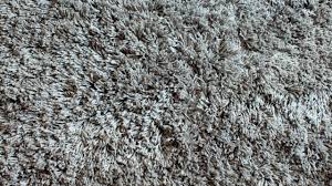 wool carpet pros and cons all