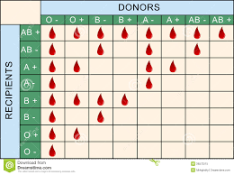 Blood Transfusion Table Stock Vector Illustration Of Drops