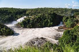 Murchison falls the River Nile — Boat Excursions to the bottom of Falls