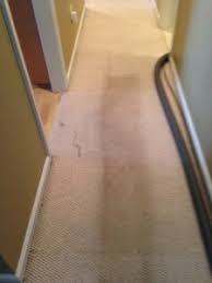 professional carpet cleaning