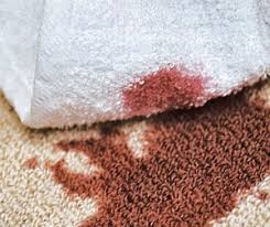 blot out carpet spills spots and
