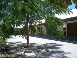 The Bamboo School