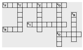 complete the crossword puzzle using the
