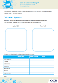This is a great graphic organizer to help your students compare and contrast the similarities and differences between plant and animal cells. Https Www Ocr Org Uk Images 261248 Cell Level Systems Checkpoint Task Instructions Pdf