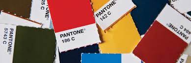 color palette brand standards