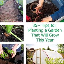 Easy Gardening Tips For A Garden That