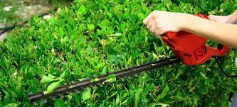 how to repair an electric hedge trimmer