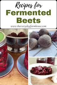 simple fermented beet recipe 2 ways