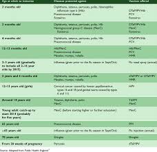 The Uk Routine Immunisation Schedule 2013 2014 Download Table