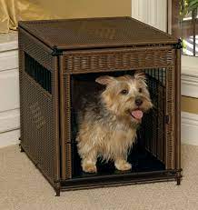 What To Put In Your Puppy S Crate At