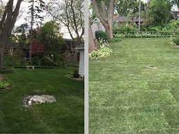 yard drainage solutions my landscape