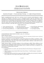 Summary For A Resume Examples Professional Summary Resume Examples