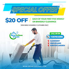 professional cleaning or diy the major