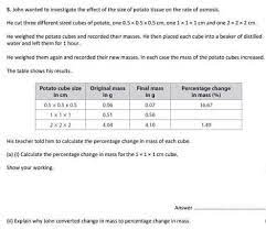 Calculate He Percentage Change In Mass