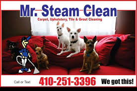 mr steam clean 10305 gatewater ct