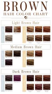 24 Shades Of Brown Hair Color Chart To Suit Any Complexion