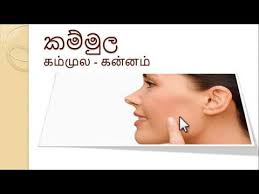 Desi girl, හියුමන් ශරීර කොටස් human body parts in eye. Body Parts In Sinhala 1 Youtube