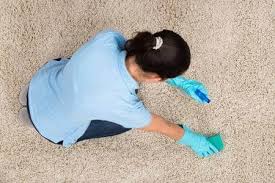 how to clean carpet by hand optima