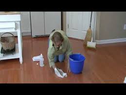 remove cat urine from hardwood floors