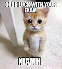 Your meme was successfully uploaded and it is now in moderation. Meme Creator Funny Good Luck With Your Exam Niamh Meme Generator At Memecreator Org