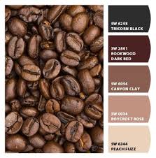 coffee bean paint color just for the
