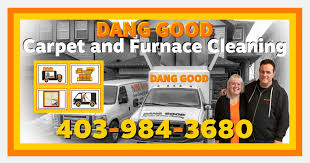 cleaning services by dang good carpet