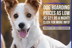50 to 90% off deals in pet boarding near you. Pet Boarding Dog Daycare Dog Grooming Preppy Pet West Houston