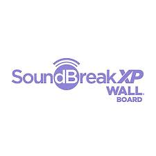 Gold Bond Soundbreak Xp Wall Board 5 8