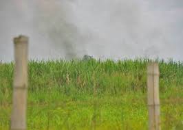 caña azúcar quemas Cali Valle del Cauca: El humo asfixiante del cañaveral  colombiano | Planeta Futuro | EL PAÍS