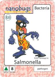 The two species of salmonella are salmonella enterica and salmonella bongori. Salmonella Enteritidis Journalstar Com