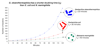 Biological Exponential Growth Wikipedia