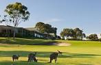 Anglesea Golf Club in Anglesea, Great Ocean Road, VIC, Australia ...