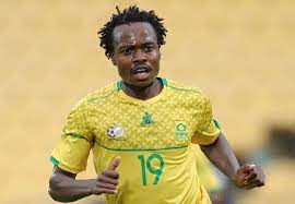 The south african national side will gear up for a double header in group c against sao tome and principe. 2vuavwbmwusczm