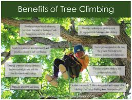 what is recreational tree climbing
