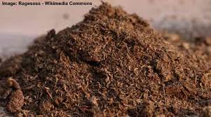 peat moss sphagnum peat moss uses in