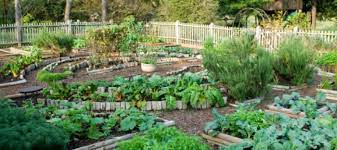 tips for maintaining garden pathways