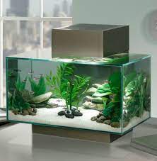 small fish tank decoration ideas