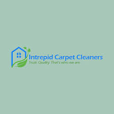 11 best el paso carpet cleaners