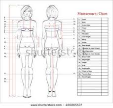 44 Comprehensive Dressmaker Measurement Chart