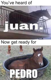 The best juan memes and images of may 2021. Juan And Pedro Memes
