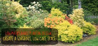 Low Maintenance Planting Design More